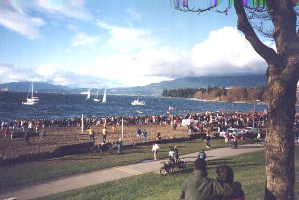 Polar Bear Swim Vancouver